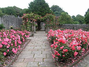Rose Garden at St Donat's Castle