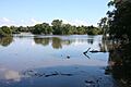 Stillman Creek Flood, Illinois 15