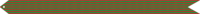 Streamer FCDG.PNG