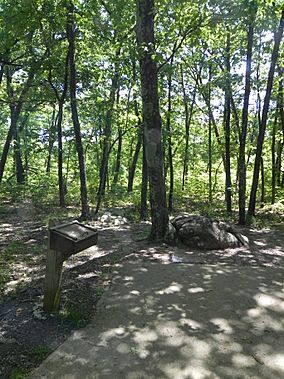 Taum Sauk Mountain Summit.JPG