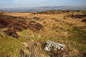 The Preaching Stone on Breconside Hill (geograph 1808305)