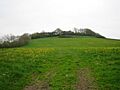 The Rath - geograph.org.uk - 801365