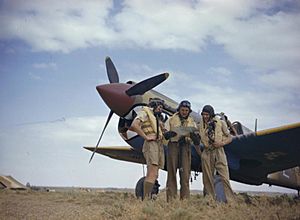 The Royal Air Force in Tunisia, May 1943 TR979