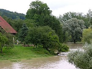Thur Flooding in Uesslingen 18.07.2009 12-57-08
