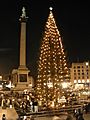 Trafalgar Square Christmas tree9
