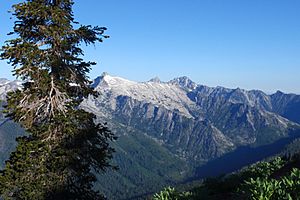 Trinity Alps Wilderness with Pinus balfouriana