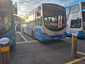 UB 264 R523