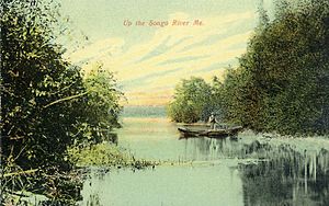 Up the Songo River, ME