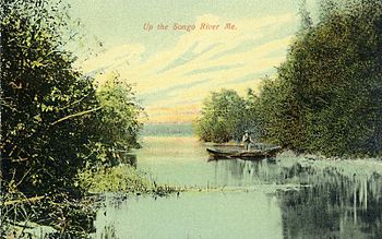 Up the Songo River, ME.jpg