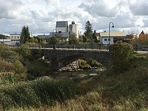 Vakkolan kiviholvisilta ja taustalla kylän viljasiilo