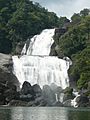 Vanatheertham falls on Thamraparni River