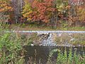 Woodstock-Vermont-Woodstock-Warren-Through-Truss-Bridge-Remains