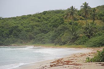 Zoni Beach on Northeastern coast of Culebra, Puerto Rico