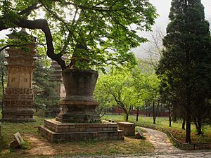 十方普同塔(僧人合葬塔) - Pagoda for Ordinary Monks - 2012.04 - panoramio