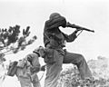 111-SC-337972 - One rifleman reloads, and another fires in the 96th Infantry Division's advance to capture Big Apple Hill, scene of intense fighting on Okinawa