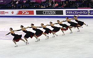 2015 Grand Prix of Figure Skating Final Team Paradise IMG 9114