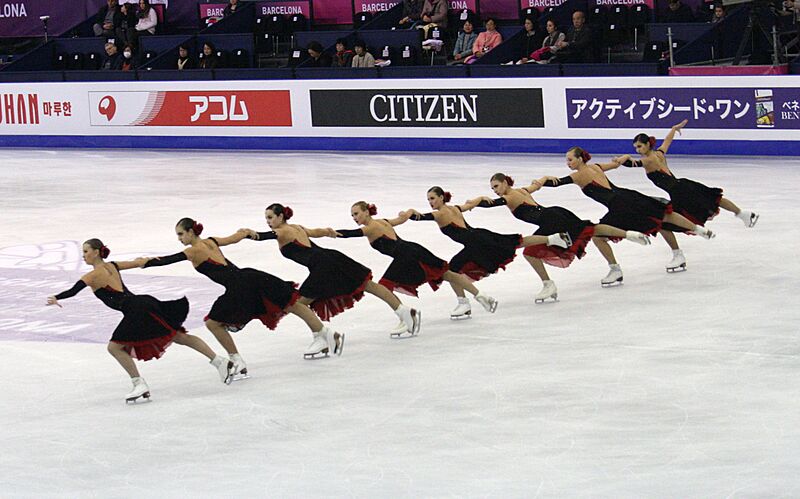 2015 Grand Prix of Figure Skating Final Team Paradise IMG 9114