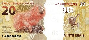 20 Brazil real Second Reverse