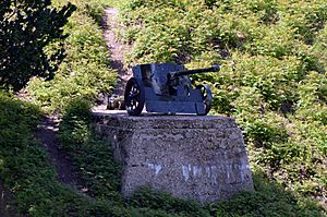 50mm PAK 38 Panzerabwehrkanone 5 cm Pak 38 Slag om Nijmegen Hunnerpark Tweede Wereldoorlog