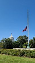 An American flag at half-staff at the Supreme Court, which is not shown while the US Capitol can be seen in the background.