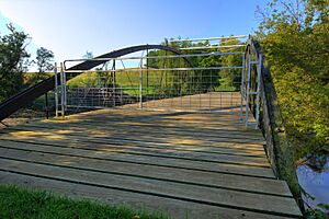 Anamosa bridge