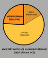 Ancestry model of Nuwayrat genome (2855-2570 cal. BCE)