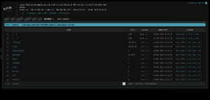 B374k 2.8 shell running on a Linux server