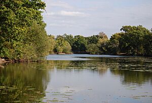 Ballast Pit, Haysden Country Park - geograph.org.uk - 1529390