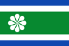Flag of Villa de Otura
