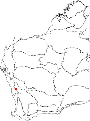 Banksia trifontinalis map