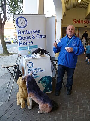 Battersea Dogs & Cats Home, New Barnet