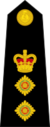 British Royal Marines OF-5.svg