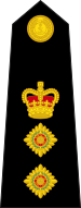 British Royal Marines OF-5.svg
