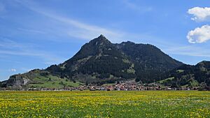 Burgberg - Oberortwang - Burgberg v SW, Grünten