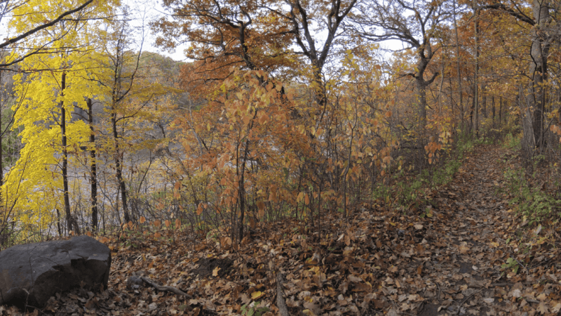 Cambridge woods - milwaukee