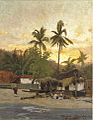 Carl Saltzmann - View of Acapulco, 1879