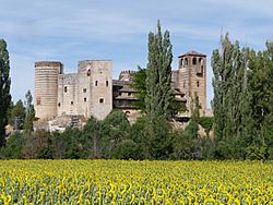 Castillo de Castilnovo.jpg