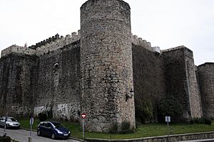 Castilloarenasdesanpedro