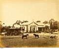Collingrove, Angaston