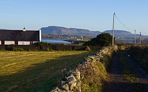 Coney island (Ireland)