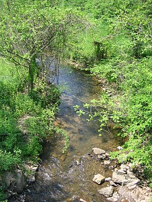 Dillons Run at Capon Bridge WV