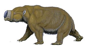 Diprotodon Facts for Kids