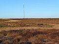 Dog Hillock - geograph.org.uk - 637706
