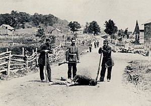 Eccles Hill, 1870, Border Volunteers with Fenian slaid
