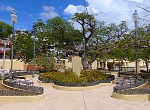 El Parterre from gate - Aguadilla Puerto Rico