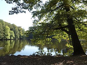 FFM Jacobiweiher Uferblick von NO 1