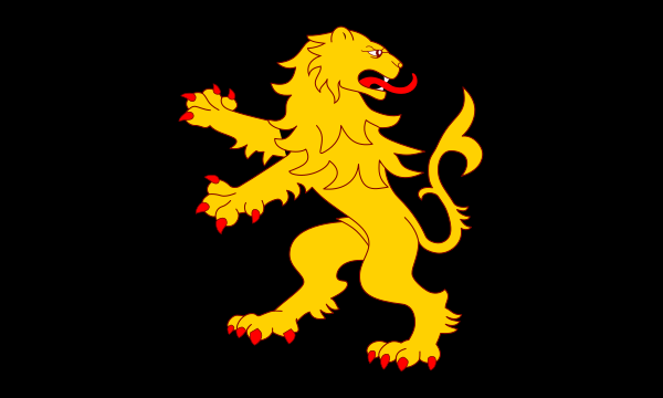 Flag of Cardiganshire (proposal)