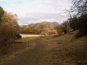 Footpath between Whitchurch Town Mill and Bere Mill - geograph.org.uk - 1171363.jpg