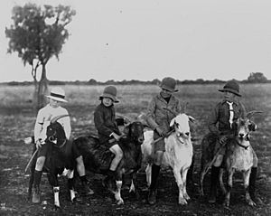 Four boys riding goats, ca. 1918 (3197460723)
