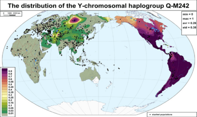 Global frequency distribution map of haplogroup Q-M242 (Y-DNA)